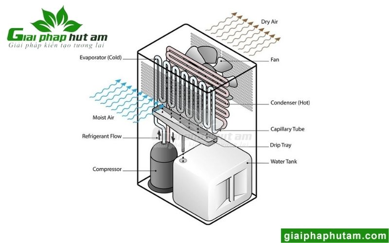 Cách thức hoạt động của máy hút ẩm ngưng tụ lạnh