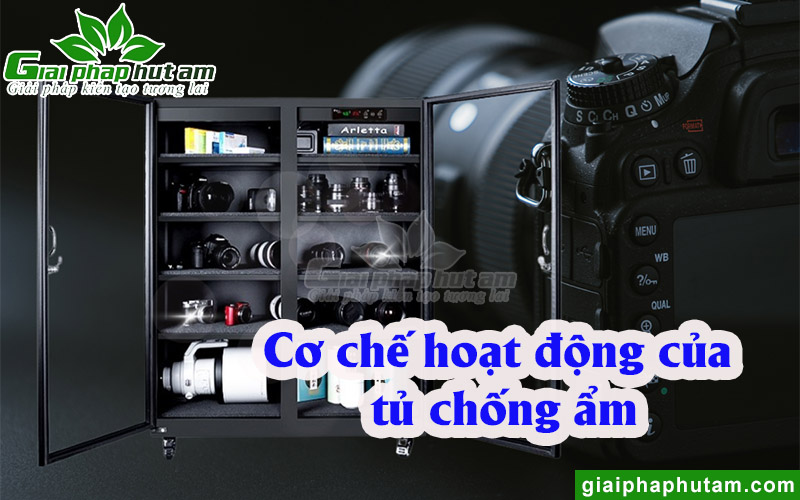 Cơ chế hoạt động của tủ chống ẩm